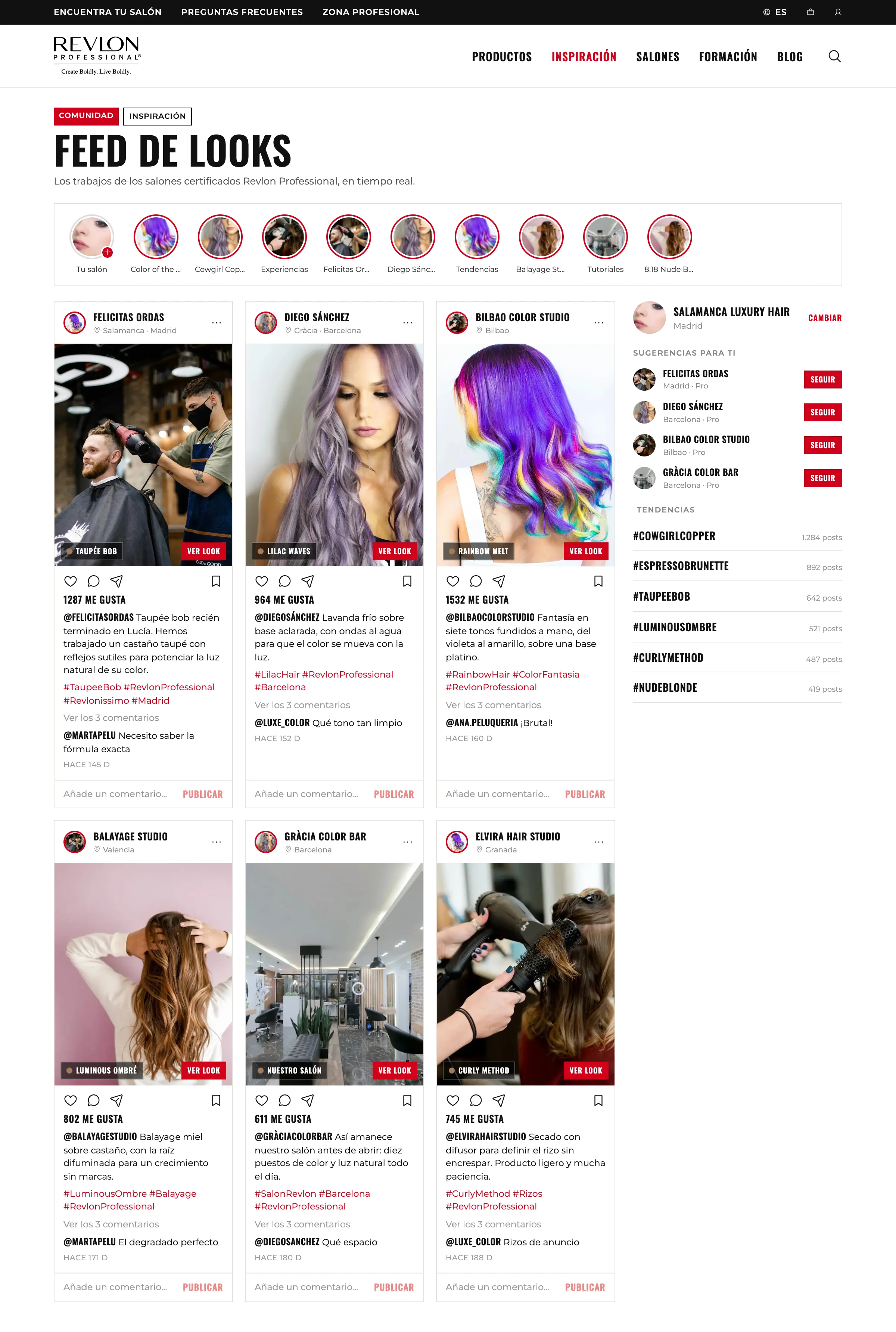 Concepto · Feed de looks